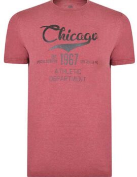 Kam Jeanswear Wine US Themed Short Sleeve Logo Tee Shirt. Large sizes